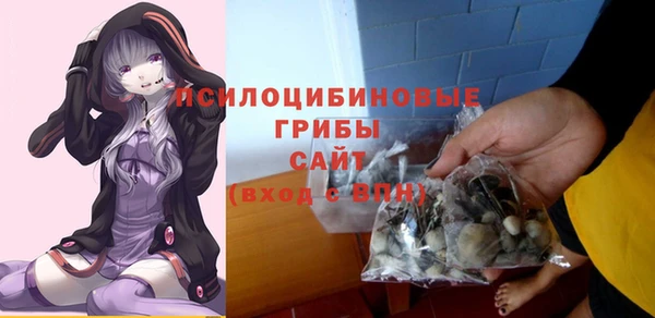 спиды Волоколамск