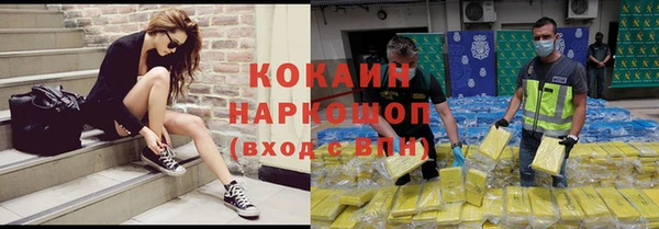 тгк Володарск